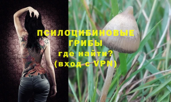 прущие крисы Богородицк